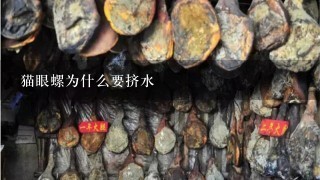 猫眼螺为什么要挤水 猫眼螺为什么要挤水