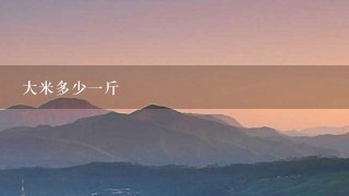 大米多少1斤 大米多少1斤