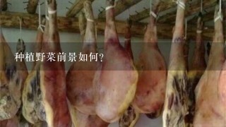 种植野菜前景如何? 种植野菜前景如何?