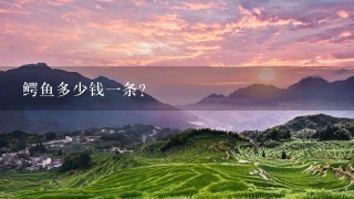 鳄鱼多少钱1条? 鳄鱼多少钱1条?
