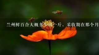 兰州鲜百合大概多少钱1斤,采收期在那个月份?谢谢了! 兰州鲜百合大概多少钱1斤,采收期在那个月份?谢谢了!