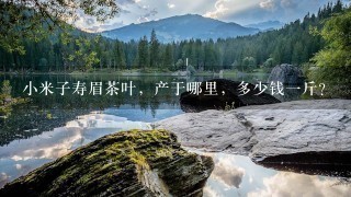 小米子寿眉茶叶,产于哪里,多少钱1斤? 小米子寿眉茶叶,产于哪里,多少钱1斤?