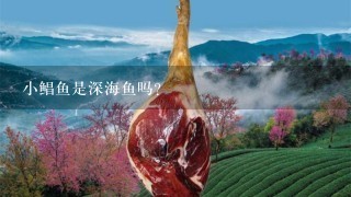 小鲳鱼是深海鱼吗? 小鲳鱼是深海鱼吗?