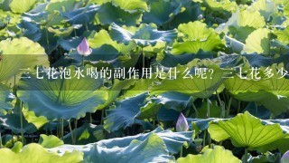 37花泡水喝的副作用是什么呢?37花多少钱1斤 37花泡水喝的副作用是什么呢?37花多少钱1斤