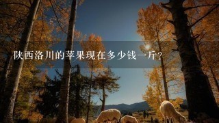 陕西洛川的苹果现在多少钱1斤? 陕西洛川的苹果现在多少钱1斤?