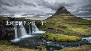 上海毛蟹多少钱1斤? 上海毛蟹多少钱1斤?