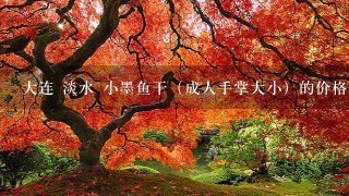 大连 淡水 小墨鱼干(成人手掌大小)的价格是多少?0售! 大连 淡水 小墨鱼干(成人手掌大小)的价格是多少?0售!
