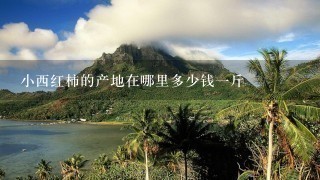 小西红柿的产地在哪里多少钱1斤 小西红柿的产地在哪里多少钱1斤