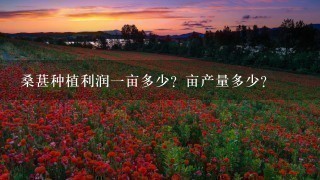 桑葚种植利润1亩多少?亩产量多少? 桑葚种植利润1亩多少?亩产量多少?