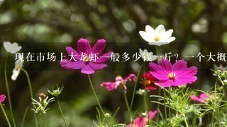 现在市场上大龙虾1般多少钱1斤?1个大概几斤呢? 现在市场上大龙虾1般多少钱1斤?1个大概几斤呢?