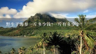 野生干海参1斤多少钱?1斤有多少个? 野生干海参1斤多少钱?1斤有多少个?