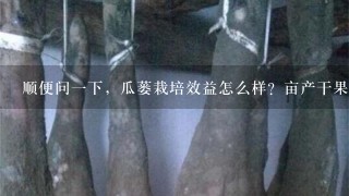 顺便问1下,瓜蒌栽培效益怎么样?亩产干果多少?籽多少?价格如何等? 顺便问1下,瓜蒌栽培效益怎么样?亩产干果多少?籽多少?价格如何等?