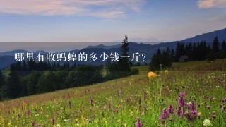 哪里有收蚂蝗的多少钱1斤? 哪里有收蚂蝗的多少钱1斤?