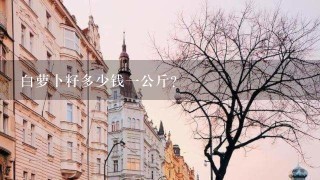 白萝卜籽多少钱1公斤? 白萝卜籽多少钱1公斤?