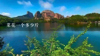 菜花1个多少斤 菜花1个多少斤