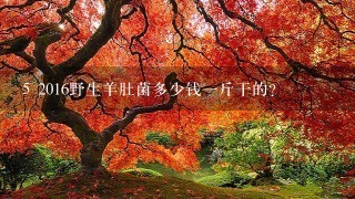 5 2016野生羊肚菌多少钱1斤干的? 5 2016野生羊肚菌多少钱1斤干的?