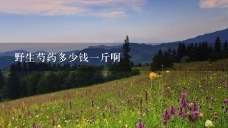 野生芍药多少钱1斤啊 野生芍药多少钱1斤啊