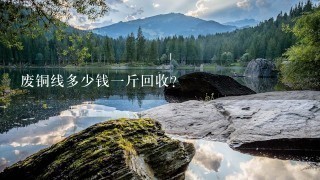 废铜线多少钱1斤回收? 废铜线多少钱1斤回收?