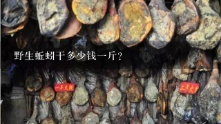 野生蚯蚓干多少钱1斤? 野生蚯蚓干多少钱1斤?