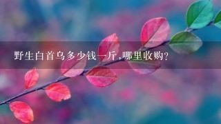 野生白首乌多少钱1斤,哪里收购? 野生白首乌多少钱1斤,哪里收购?