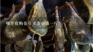 哪里收购苍耳子多少钱1斤? 哪里收购苍耳子多少钱1斤?