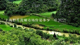 上海野生泥鳅市场价是多少1斤2022? 上海野生泥鳅市场价是多少1斤2022?