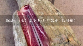 独脚柑(金)多少钱/斤?怎样可以种植? 独脚柑(金)多少钱/斤?怎样可以种植?