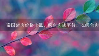 泰国猪肉价格上涨,鳄鱼肉成平替,吃鳄鱼肉难道不违 泰国猪肉价格上涨,鳄鱼肉成平替,吃鳄鱼肉难道不违