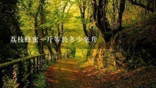 荔枝蜂蜜1斤等於多少毫升 荔枝蜂蜜1斤等於多少毫升