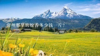 常州那里的松香多少钱1斤? 常州那里的松香多少钱1斤?