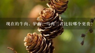 现在的牛肉,驴肉,马肉3者比较哪个更贵?哪种肉食 现在的牛肉,驴肉,马肉3者比较哪个更贵?哪种肉食