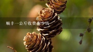 顺丰1公斤收费多少钱 顺丰1公斤收费多少钱