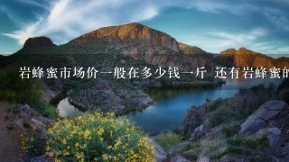 岩蜂蜜市场价1般在多少钱1斤 还有岩蜂蜜的真假怎么分辨 岩蜂蜜市场价1般在多少钱1斤 还有岩蜂蜜的真假怎么分辨
