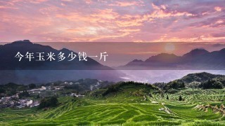 今年玉米多少钱1斤 今年玉米多少钱1斤