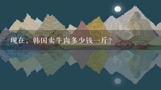 现在,韩国卖牛肉多少钱1斤? 现在,韩国卖牛肉多少钱1斤?