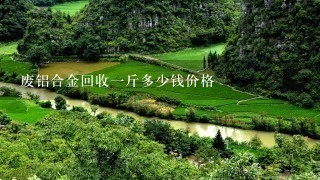废铝合金回收1斤多少钱价格 废铝合金回收1斤多少钱价格