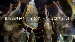 谁知道踏板鱼在辽宁 和山东 分别是多少钱1斤 谁知道踏板鱼在辽宁 和山东 分别是多少钱1斤