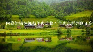 内蒙的锡林郭勒羊肉价格?羊肉怎样判断正宗不正宗? 内蒙的锡林郭勒羊肉价格?羊肉怎样判断正宗不正宗?