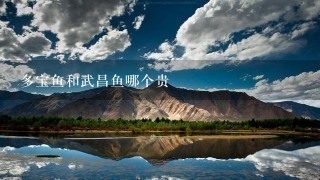 多宝鱼和武昌鱼哪个贵 多宝鱼和武昌鱼哪个贵