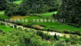 (3)买这些香蕉1共花费多少元?(3分) (3)买这些香蕉1共花费多少元?(3分)
