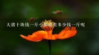大猪十块钱1斤小猪能卖多少钱1斤呢 大猪十块钱1斤小猪能卖多少钱1斤呢