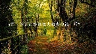 市面上的真正纯蜂蜜大概多少钱1斤? 市面上的真正纯蜂蜜大概多少钱1斤?