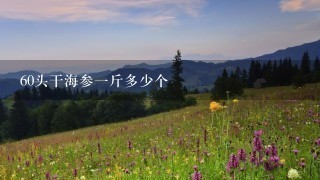 60头干海参1斤多少个 60头干海参1斤多少个