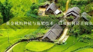 黄金桃的种植与施肥技术,以及如何防止病虫害? 黄金桃的种植与施肥技术,以及如何防止病虫害?