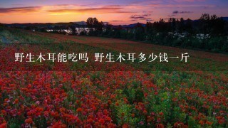 野生木耳能吃吗 野生木耳多少钱1斤 野生木耳能吃吗 野生木耳多少钱1斤