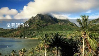 桑葚酒价格 桑葚酒价格