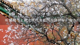 听说壹号土猪之所以贵是因为猪种好,放养的方式和时 听说壹号土猪之所以贵是因为猪种好,放养的方式和时