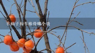 羊蝎子和羊棒骨哪个贵 羊蝎子和羊棒骨哪个贵