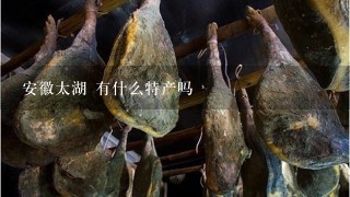 安徽太湖 有什么特产吗 安徽太湖 有什么特产吗
