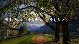 野生干海参1斤多少钱?1斤有多少个? 野生干海参1斤多少钱?1斤有多少个?